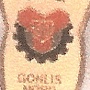 SG MoGoNo Leipzig